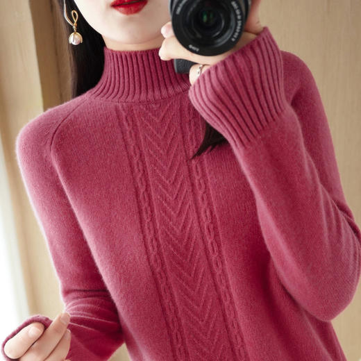 QHJY-JYJH22041秋冬新款女式毛衣提花加厚半高领插肩袖针织衫韩版羊毛打底衫 商品图5