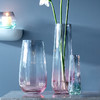 lsa花瓶Dusk手工渐变玻璃简约透明客厅欧式大号鲜花插花摆件 商品缩略图1