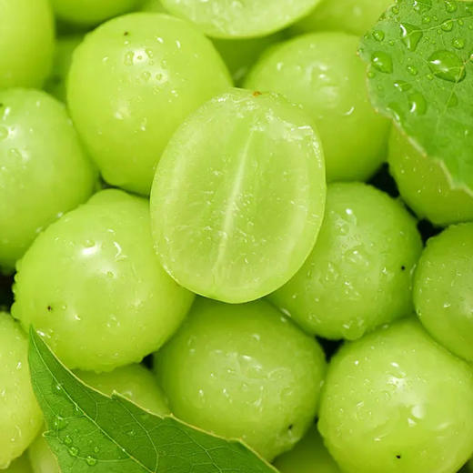 秋天脆 香印青提| 水果 商品图2