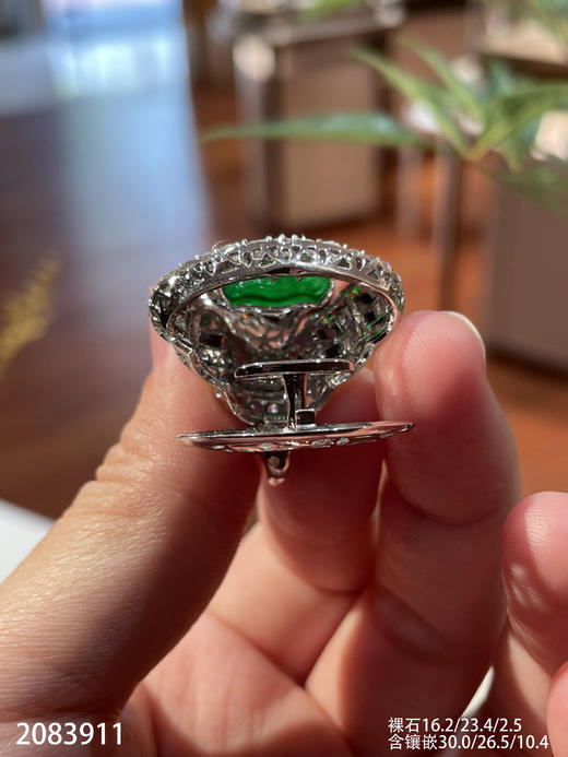 2083911，老坑高冰帝王绿佛公吊坠。具体价格微信咨询 商品图7