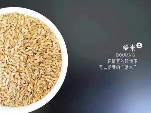 【豆妈家严选】五常糙米 商品图1