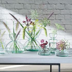 LSA  Canopy 伊甸园合作纯手工玻璃花瓶三件套水培摆件客厅插花器