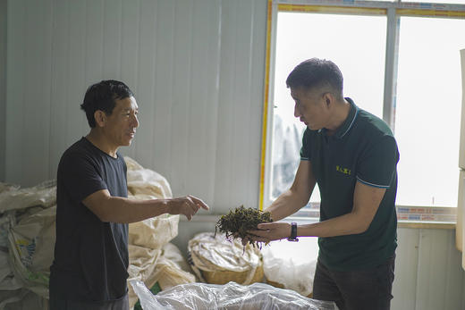 【最后3饼】【冰岛老寨茶王地单株】2021年头春古树 茶农联名款 100克/饼 【只剩2.5公斤】限购3份 商品图2