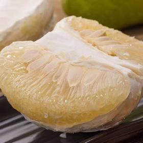 梅州老树沙田柚子 5斤/10斤