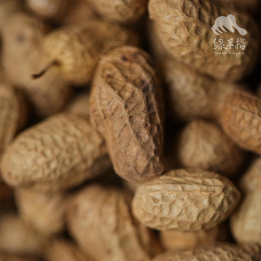 生态带壳干花生（河南，两品种混发） | 合作生产* cological Fresh Peanuts | Coproduction 商品图6