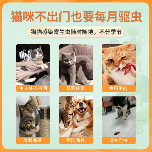 【内外同驱】海乐妙猫咪体内外驱虫药猫用打虫药幼猫14mg单粒拆售 商品图2
