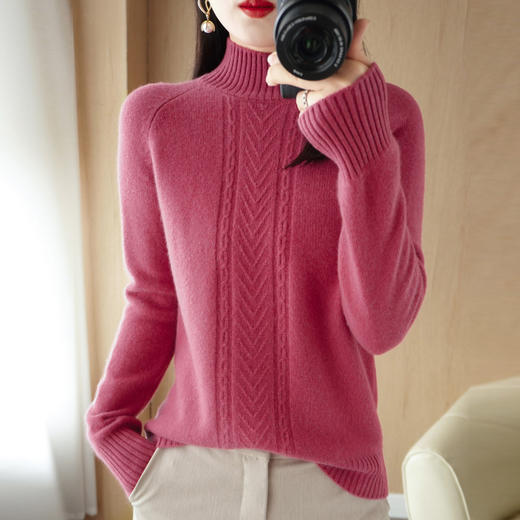 QHJY-JYJH22041秋冬新款女式毛衣提花加厚半高领插肩袖针织衫韩版羊毛打底衫 商品图2