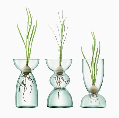 LSA  Canopy 伊甸园合作纯手工玻璃花瓶三件套水培摆件客厅插花器 商品图3