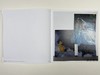 Unfinished Business: Paintings From the 1970s and 1980s by Ross Bleckner, Eric Fischl and David Sall 商品缩略图1