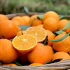 生态水果爱媛果冻橙450g 果肉清甜无渣 京津冀满百包邮 商品缩略图8
