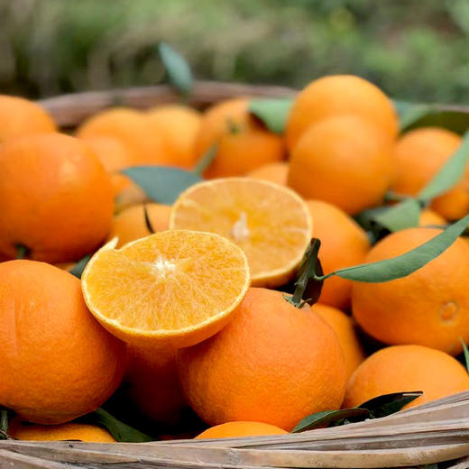 生态水果爱媛果冻橙450g 果肉清甜无渣 京津冀满百包邮 商品图8