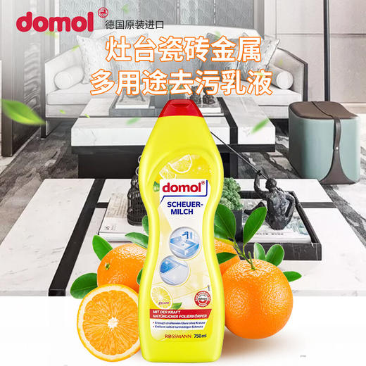 【中欧班列直供2瓶】德国domol去污乳液 原装进口ROSSMANN灶台瓷砖金属多用途去污乳液750ml/瓶 商品图0
