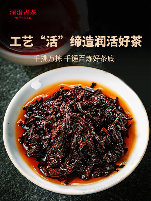 【景迈古树春茶制作】澜沧古茶 2022年0085 第十一代 普洱熟茶 357g/饼（京东同款） 商品图4