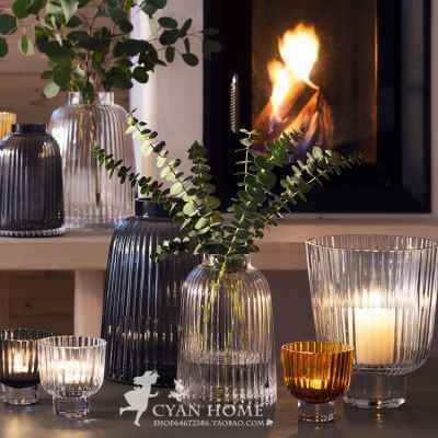 LSA纯手工玻璃Pleat花瓶家用透明玻璃水培花瓶 创意北欧玻璃花瓶 商品图1