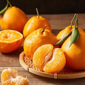 春见耙耙柑(6斤装）