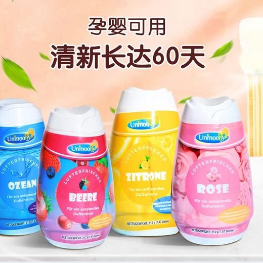 bwd【中欧班列精选3瓶】德国空气清新剂 原装进口安娅诗空气清新剂清香除臭剂 212g/瓶 商品图2