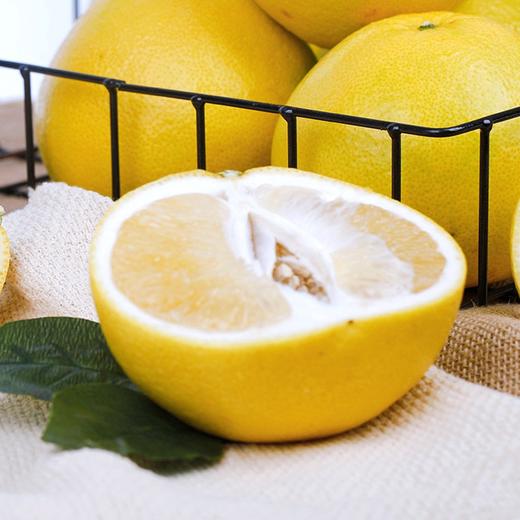 葡萄柚4kg【NBYH中秋纪涛16.5】 商品图3