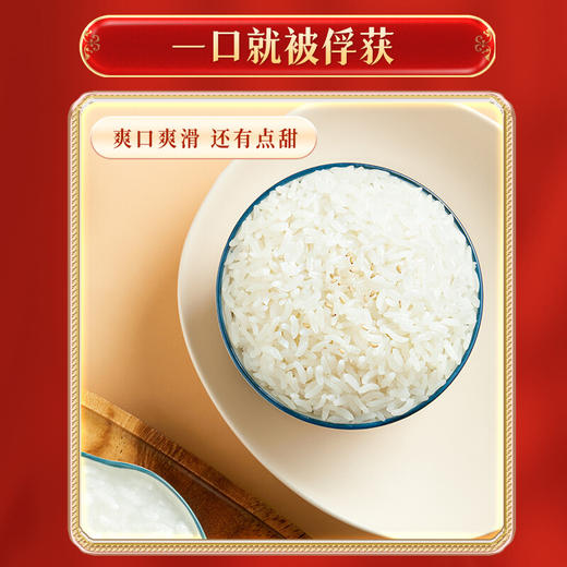 十月稻田 五常大米 香米 5kg  稻花香2号 东北大米  十斤 商品图5