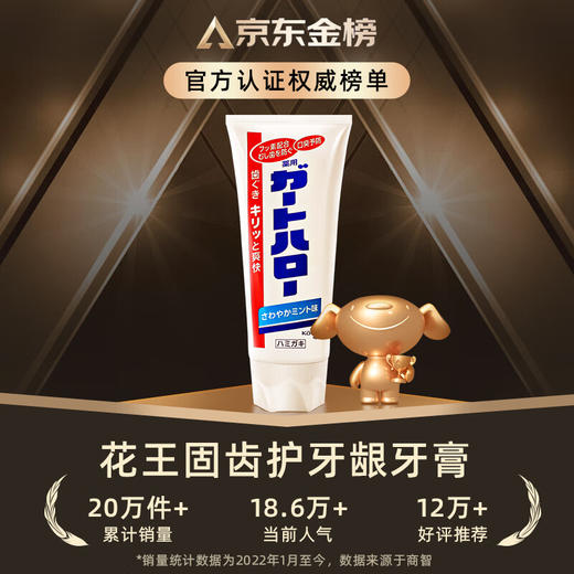 花王（KAO）日本进口牙膏固齿护牙龈 除口腔异味清新口气薄荷牙膏165g 商品图1