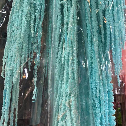 吊米（永生花） 商品图3