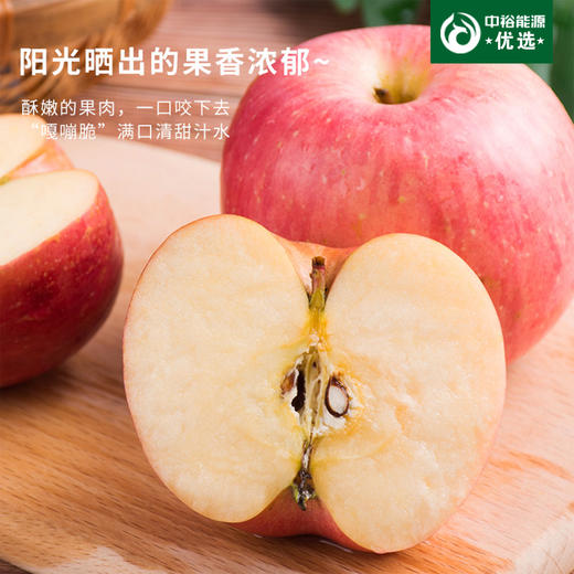 【京东/顺丰】三门峡—灵宝寺河山亚洲高山果园苹果80-85mm 毛重约10斤装 商品图0