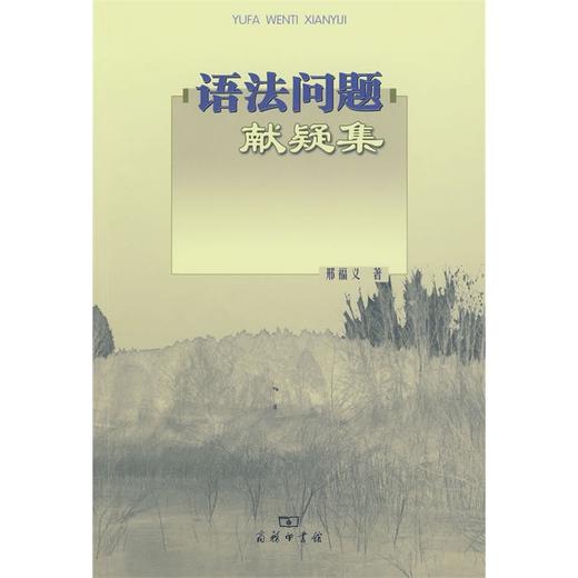 语法问题献疑集 商品图0