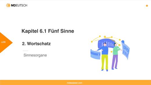 6.1 词汇丨Sinnesorgane 商品图0