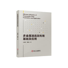 多金属渣高效利用基础及应用/王丽君,周国治