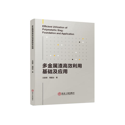 多金属渣高效利用基础及应用/王丽君,周国治 商品图0