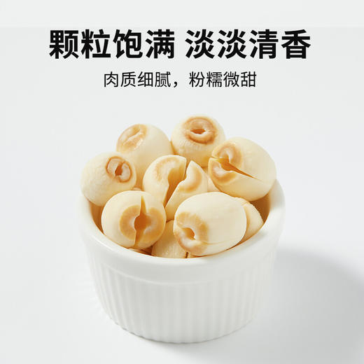 十月稻田 莲子 250g 湘潭去芯磨皮白莲子 干货 桂圆百合银耳羹煲汤食材 商品图2