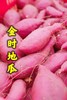 海南 金时地瓜 5斤装 9斤装 商品缩略图2