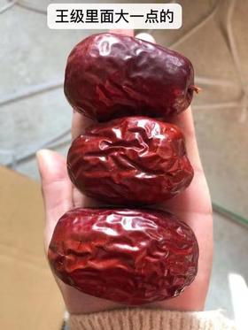 2025新疆和田枣王来啦，树上自然吊干，大个和田枣基地直邮