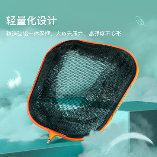 佳钓尼王者大物抄网网头钓鱼捞鱼抄网，网兜巨物大号超轻超硬抄网 商品图2