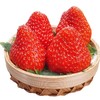 丹东有机草莓自然生长不催熟无农残3斤（净重2.5斤）*2【顺丰包邮】有机认证 商品缩略图1