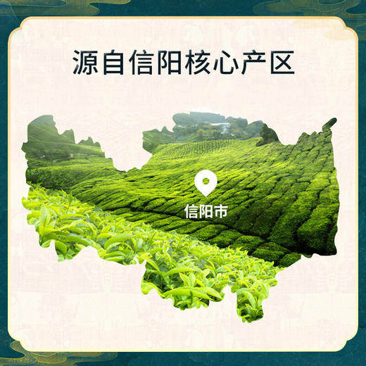 京东京造 信阳毛尖125g*2罐装  春茶绿茶茶叶 赠礼袋自饮佳品 商品图1