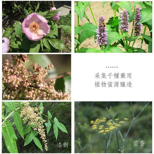 合作产品/秦岭古法木桶蜂蜜 商品图4