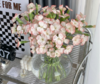 蝴蝶康乃馨 商品缩略图0