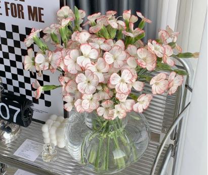 蝴蝶康乃馨 商品图0