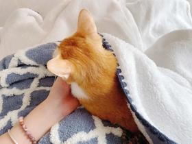 温暖入睡~毛茸茸暖fufu单品