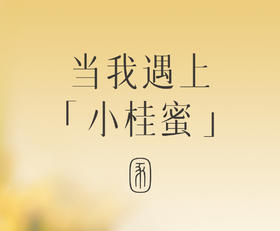 金桂精华油用起来怎么样？