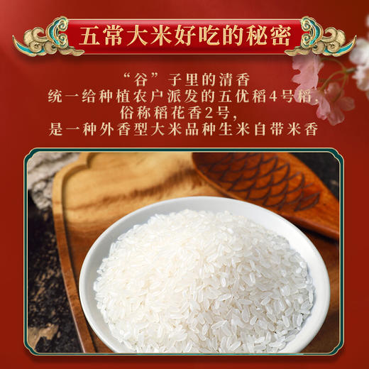 柴火大院 五常大米 稻花香米 东北大米 5kg 商品图2