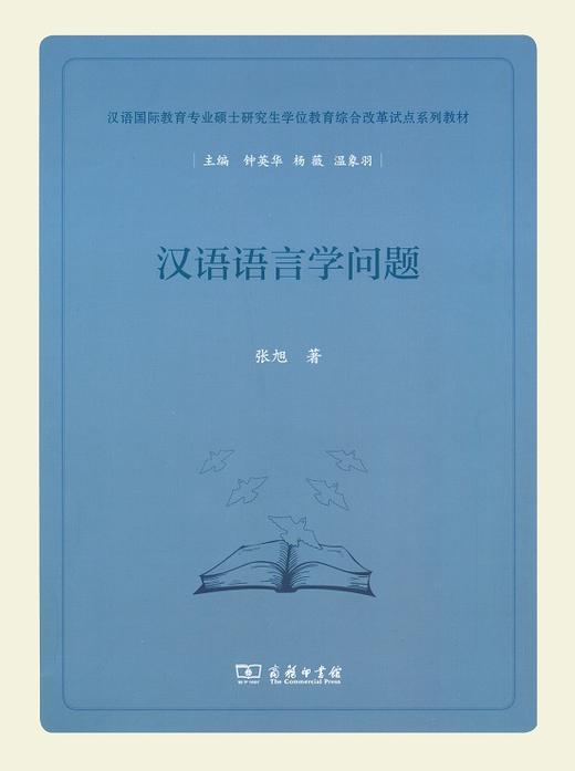 汉语语言学问题 商品图0