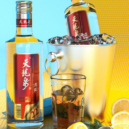 22°天龙泉清爽二代 500ml *6瓶/件 商品图2