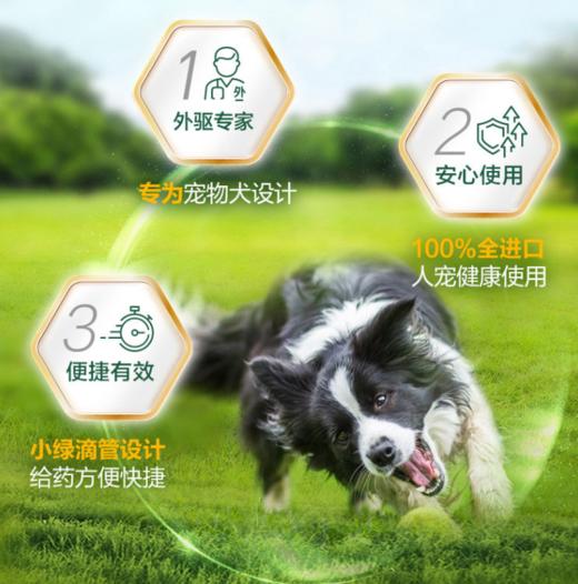【法国进口】福来恩犬用外驱滴剂狗狗体外驱虫滴剂中型犬10-20kg 1支拆售 商品图2