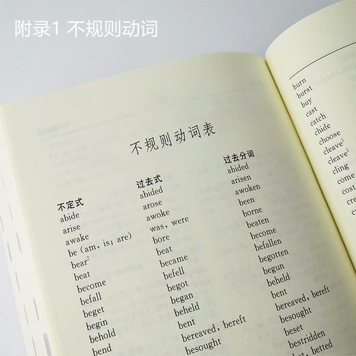 英汉小词典（第4版·大字本） 商品图4