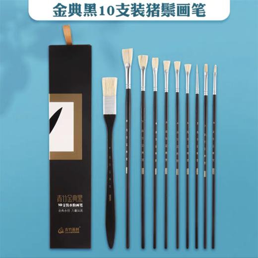 青竹金典黑水粉笔套装美术生专用艺考联考色彩扇形笔10支装绘画排笔油画笔猪鬃画笔 商品图0
