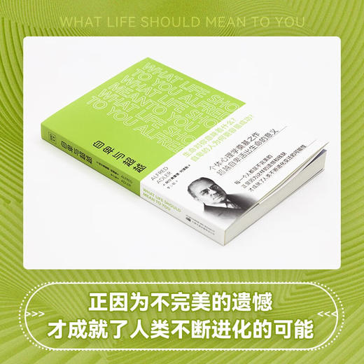 自卑与超越 阿尔弗雷德·阿德勒 著 心理学 商品图3