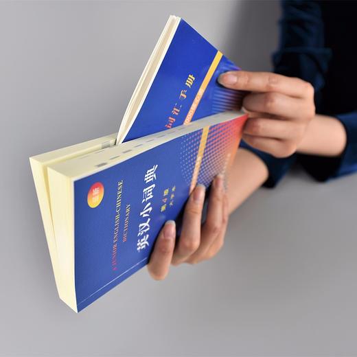 英汉小词典（第4版·大字本） 商品图2