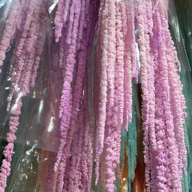 吊米（永生花）