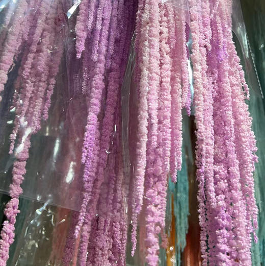 吊米（永生花） 商品图0